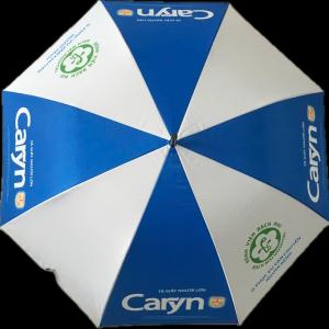 Dù tự bung trắng xanh